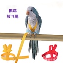 Parrot flying rope tiger skin Xuanfeng out training bird walking strap wings flying rope traction rope elastic rope