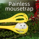 Hamster Clip Mouse Clip Hamster Clip Golden Bear Life Supplies Interactive Anti-bite Hamster Toy Landscape