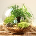 Micro landscape diagonal glass vase Moss fleshy DIY ecological bottle crystal glass home accessories