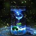 批发带灯直筒玻璃花瓶 圆柱软木塞微景观带灯生态瓶 海藻球生态瓶