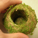 厂家批发 复活日本苔玉 苔藓球 青苔球 懒人花盆 创意盆栽 微景观