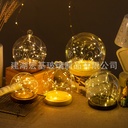 Forever Flower Glass Cover diy Decorative Desktop Ornaments Dried Flower Transparent Micro Landscape Base with Lamp Dust Cover