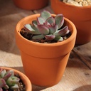 Non-porous Aromatherapy Pot Red Pottery Breathable Tile Pot International Pot Fleshy Flower Pot Seedling Pot Ceramic Clay Flower Pot