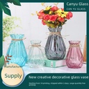 新款创意新诺玻璃花瓶干花瓶插花瓶水培花瓶装饰摆件瓶