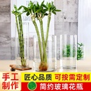 Ins Ornaments Creative Ecological Simple Transparent Hydroponic Plant Utensils Straight Floor Glass Vase Living Room Ornaments