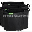 Black Gallon Basin Non-woven Flower Pot Extra Large Tree Planting Bag Thickened Large Supply US Plantation Bucket Free Shipping