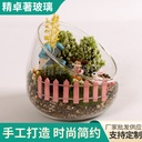 微景观玻璃花瓶大斜口造景瓶多肉苔藓植物水培花瓶量大从优