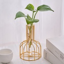 ins Style Nordic Transparent Glass Vase Ornaments Home Creative Simple Living Room Dried Flower Flower Arranging Decoration