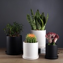 ins style simple modern large matte straight tiger skin blue white succulent indoor plant green plant ceramic flower pot