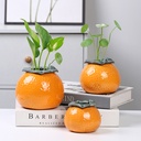 Ceramic Orange Hydroponic Vase Home Desktop Decorative Ornaments Water Plant Green Rose Copper Money Grass Container Gift Box