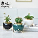 Dongheng White Flower Pot Set Ceramic Fleshy Potted Plant Exquisite Holiday Gift Gardening Pot