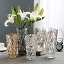 Nordic Light Luxury Ins Style Glass Vase High-end Sense Internet Celebrity Transparent Living Room Home Decoration Ornaments Lily Flowers