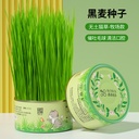 Factory lazy cat grass canned digestion wheat rye cat hair spit hair ball cat snacks