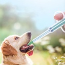 Manufacturers Pet Medicine Feeder Cats Dogs Press Medicine Feeding Stick Pills Pills Artifact Repellent Needle Cylinder