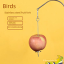 Parrot Special Stainless Steel Fruit Fork Vegetable Fork Parrot Food Fork Parrot Fruit String Parrot Food String Fork