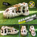 Acrylic reptile feeding box landscape skull rhino sheep skull skull head fire rose Spider scorpion lizard