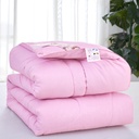Direct selling thickened silk quilt winter cotton quilt core dormitory single quilt core Spring and Autumn quilt core hotel quilt core