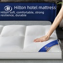 Five-star Hotel Mattress Hilton Down Cushion Thickened Tatami Cushion Home Homestay Cushion Cushion