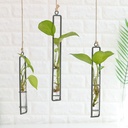 Glass Pendant Creative Home modern minimalist wall hanging hydroponic plant vase Bar coffee living room wall decoration