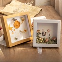 Three-Dimensional Hollow specimen frame A4diy hand-washed photo frame set table butterfly insect clay dried flower display frame