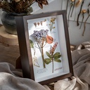 ins Wind Hollow Dried Flower Photo Frame Set Table 8-inch 10diy Butterfly Insect Clay Stereo Hollow Stereo Sample Frame