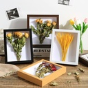 Three-Dimensional Hollow specimen frame 6-inch 10diy handmade butterfly clay dried flower photo frame table picture frame wall mounting