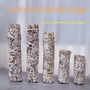 white sage blue sage cedar staff holy wood line incense tower incense abalone shell and other white sage