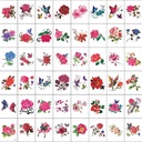 Butterfly Flower tattoo Sticker Color Sketch tattoo Sticker Flower Peony Rose Plum Blossom tattoo