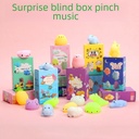 Blind Box dumplings pinch music vent children's gift soft glue toy Lucky Box blind box box gift box