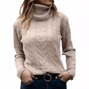 Europe and the United States autumn and winter solid color high collar sweater retro long sleeve sweater women's clothing