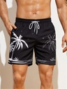 2024年夏季新款速干休闲沙滩裤男士数码3D印花运动冲浪健美短裤