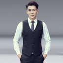 Spring and Autumn Men's Vest Slim-fit Korean Men's Work Clothes Suit Vest Men's Best Man Business Wear Men's Vest