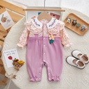 Baby clothes autumn three-dimensional small flower baby girl clothes front buckle born clothes long sleeve baby jumpsuit