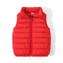 Children's Lightweight Vest Spring and Autumn Outer Wear for Boys and Girls Middle and Big Children Autumn and Winter Hooded Warm Vest