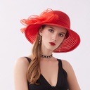 Organza Basin Hat Korean Style Bow Gauze Sun Hat Women's Summer Travel Sun Hat