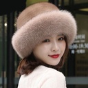 Winter Hat Children's All-match Foreign Style Fashion Ears Warm Imitation Mink Fur Ins Thickened Wind-proof Hat Western Sichuan