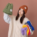 Korean-style ins Multi-color Hat Women's Autumn and Winter Gastrodia Flower Cloth Wool Hat Student Fashion All-match Warm Knitted