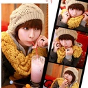 Korean version of autumn and winter Big Bud twist ball knitted hat Polo cap Women's wool beret